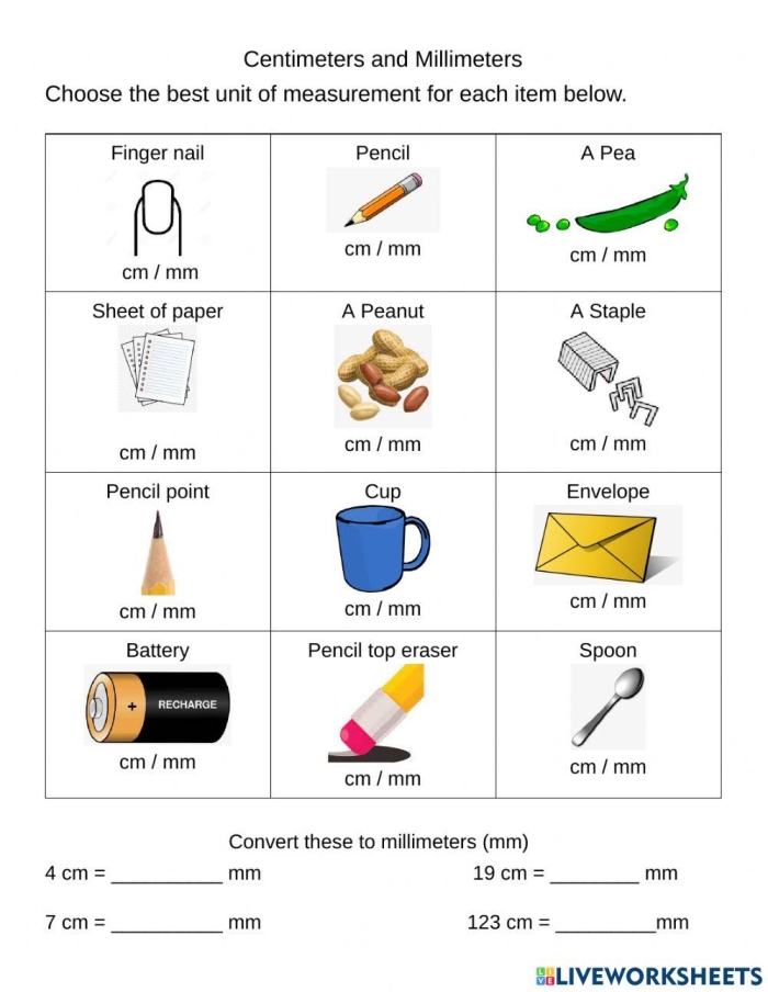 Civics and Government worksheet showing common units of measurement and metric conversions for grade measurement