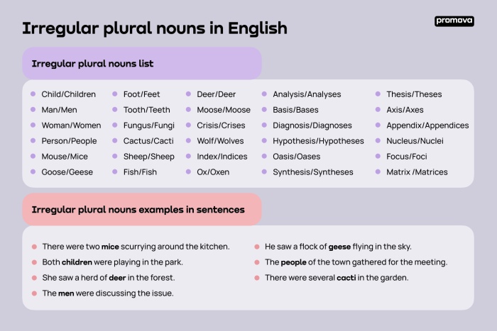 It's Grammar Time: Plural Nouns 2 exercise for young learners Worksheet image demonstrating plural nouns for second graders