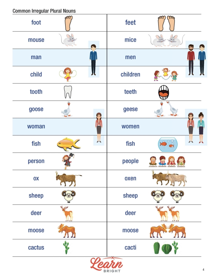 It’s Grammar Time: Plural Nouns 2 worksheet for enhancing language skills Worksheet for practicing plural noun transformations for second graders