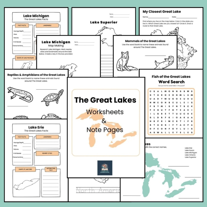 The 5 Great Lakes worksheet featuring trivia questions for second graders