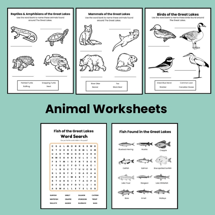 Second Grade worksheet featuring trivia about the 5 Great Lakes including Superior, Michigan, Huron, Erie, and Ontario