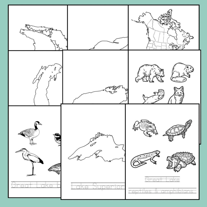 Second Grade worksheet featuring trivia questions about the 5 Great Lakes including Superior and Ontario