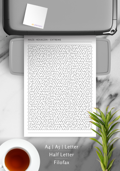 It's a Maze of Hexagons! worksheet for practicing shapes and numbers Worksheet featuring a maze of hexagons for fourth graders to identify prime and polygon types