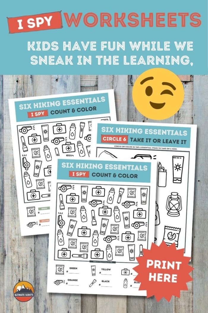 Pictograph illustrating the number of hikes taken by Eric and his friends this month for counting practice. Hiking Buddies Pictograph worksheet for second graders to analyze data.