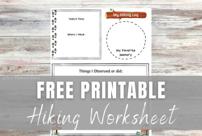Pictograph illustrating the hiking activities of Eric and his friends for the month, suitable for a second-grade counting lesson. Hiking Buddies Pictograph worksheet displaying hike totals for Eric and his companions.