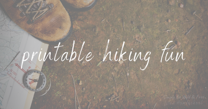 Pictograph illustrating the hiking activities of Eric and his friends for the month