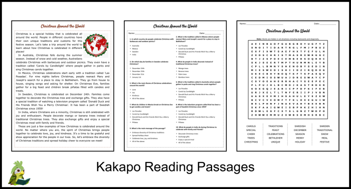 Christmas Around the World Word Search worksheet for young learners exploring global holiday customs Second grade Christmas Around the World word search featuring holiday words and traditions