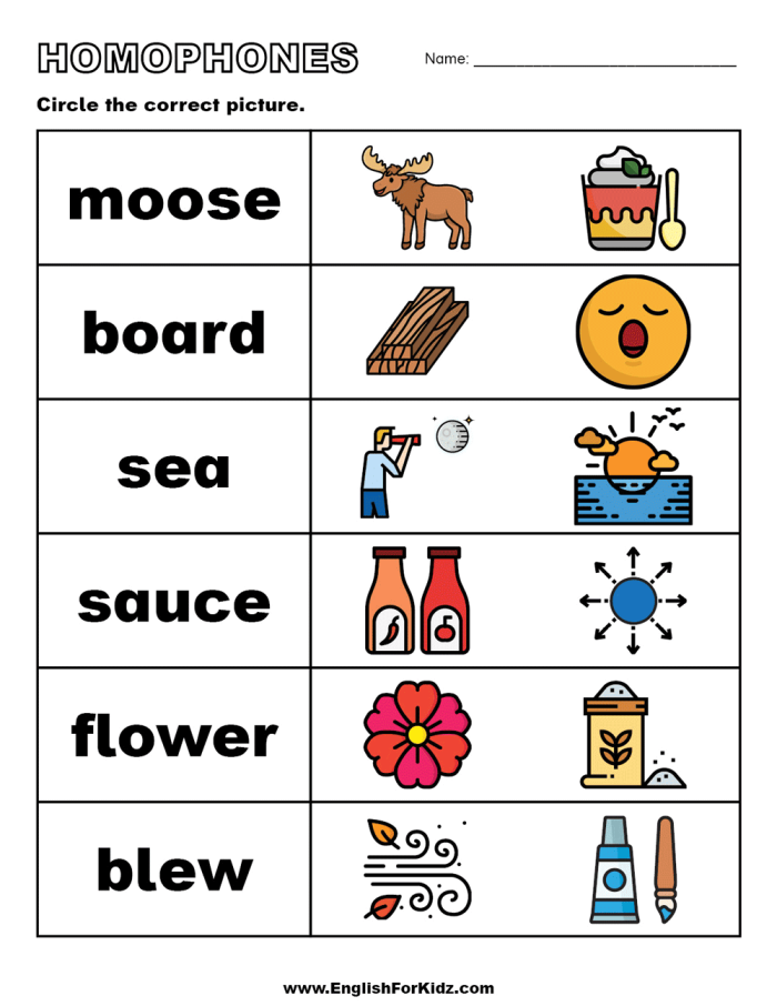 Second Grade history Pick the Homophones worksheet activity number 22 Second-grade student completing a Pick the Homophones worksheet using a word bank in a history lesson
