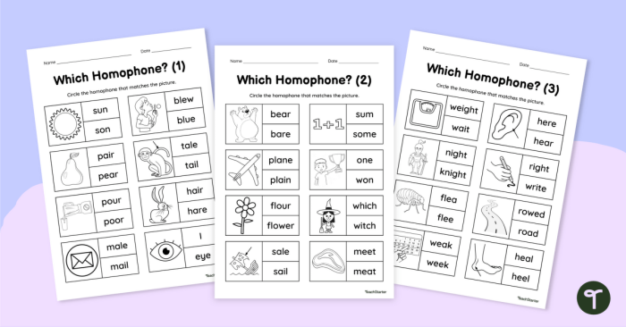 Second Grade Homophones Practice Worksheet Number 9 for History Class Second grade history worksheet featuring a Pick the Homophones exercise with six sentences and a word bank
