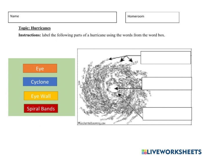 Fifth grade worksheet on hurricanes featuring a sentence about Dorothy and a hurricane