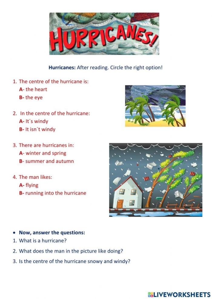 Fifth grade worksheet for learning about hurricanes featuring a sentence with Dorothy and a storm