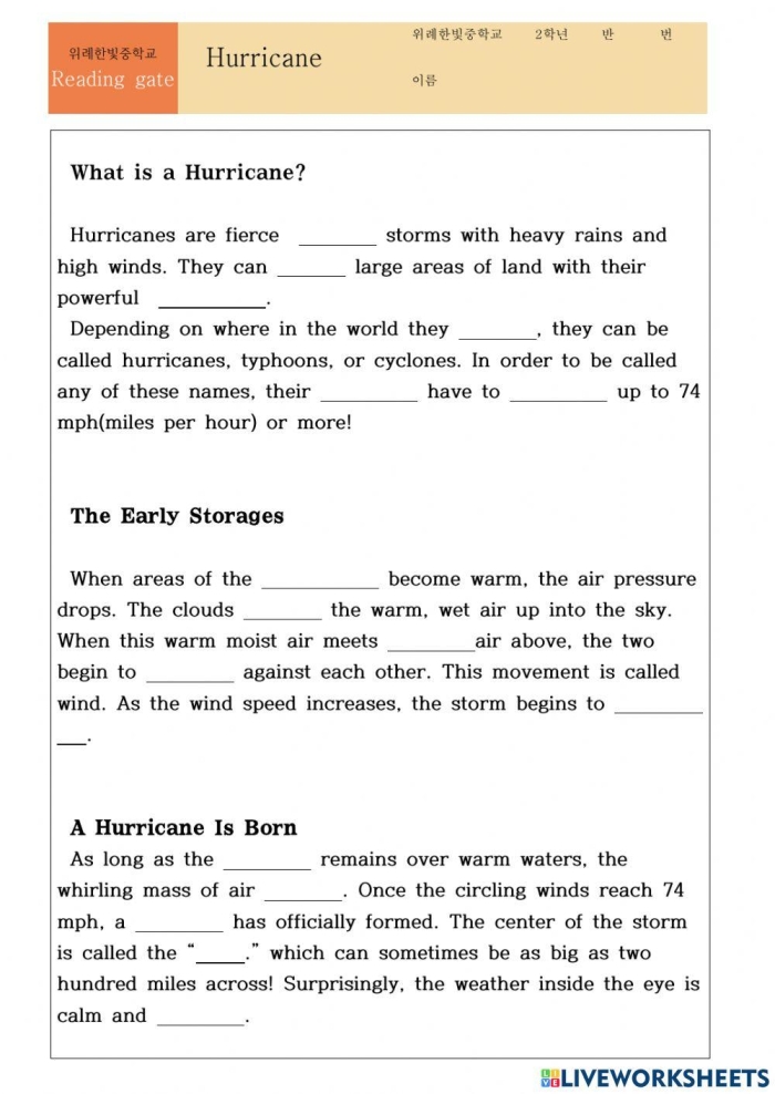 Fifth grade worksheet themed around learning hurricanes with a story about Dorothy and Oz