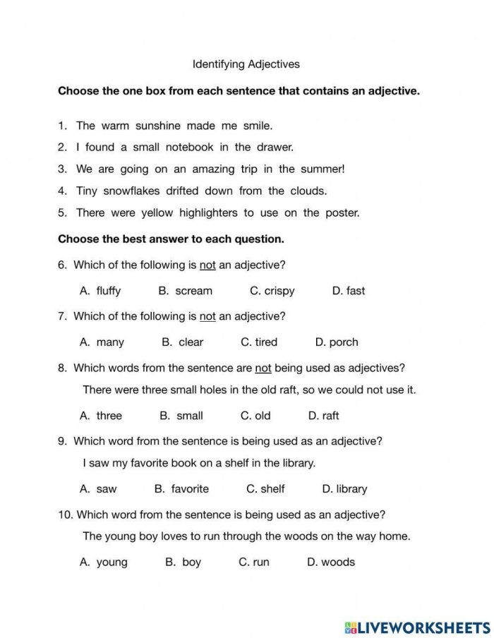 Worksheet featuring an exercise to identify adjectives in first-grade descriptions of pictures. Image 2 from the Identify Adjectives worksheet for young learners.