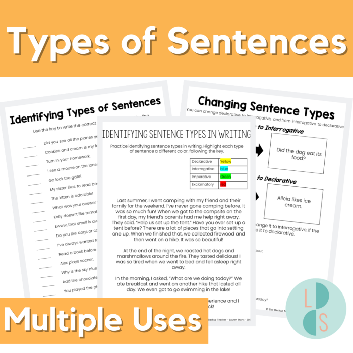 Worksheet featuring the "Identifying Sentences: At the Beach!" activity for third graders