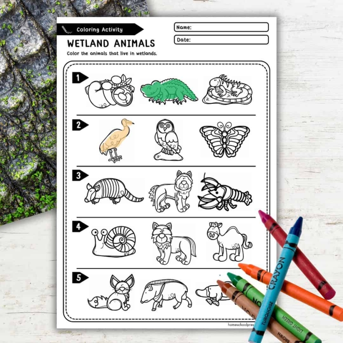 Animal Habitat Drawing Page worksheet for kindergarten students to explore animal homes