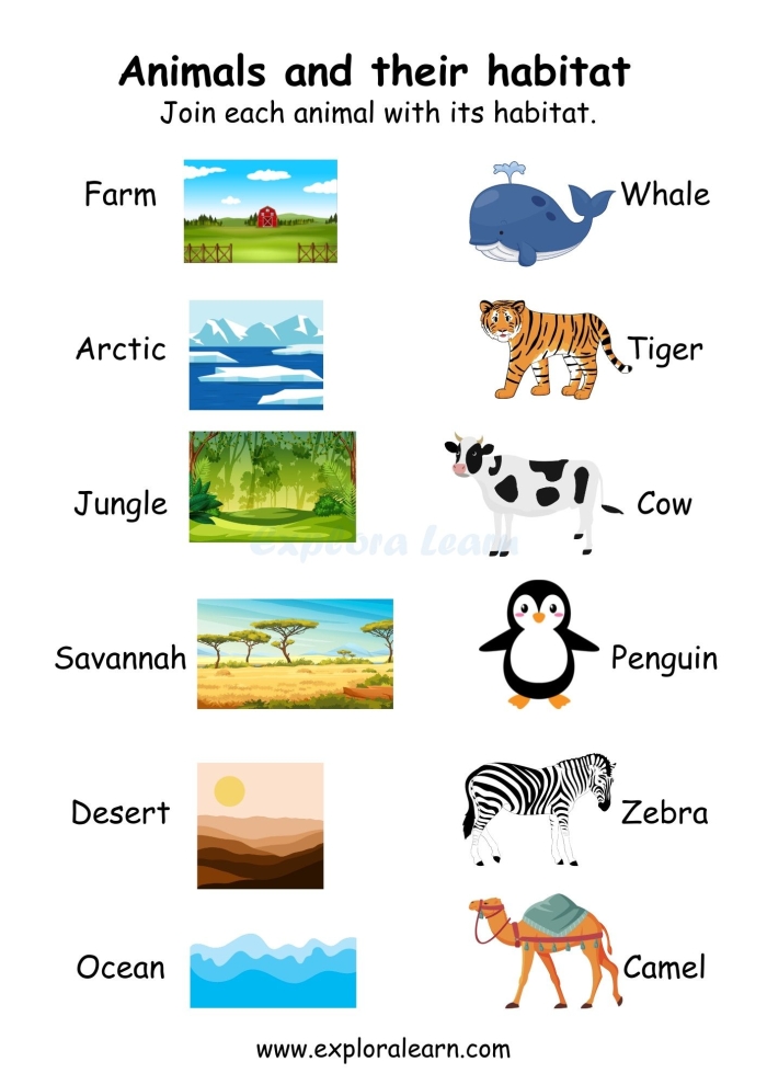 Animal Habitat Drawing Page worksheet for kindergarten students to learn about animal homes