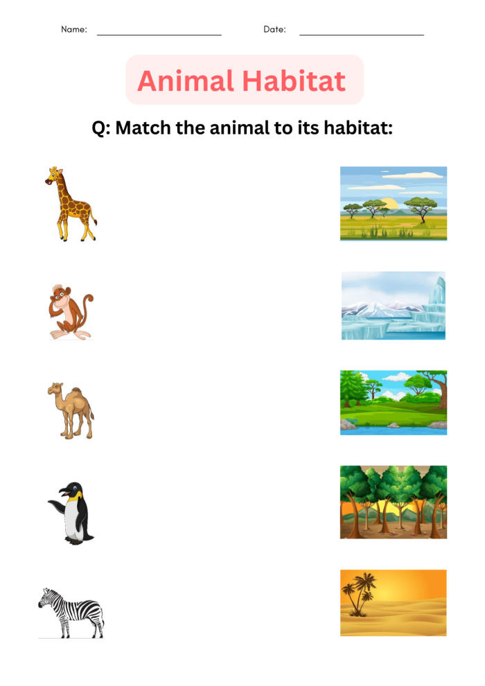 Animal Habitat Drawing Page worksheet for kindergarten students learning about animal homes