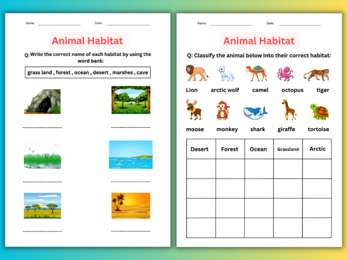 Animal Habitat Drawing Page worksheet for kindergarteners, featuring animals and their habitats. Engaging image illustrating a fun educational activity for young learners.