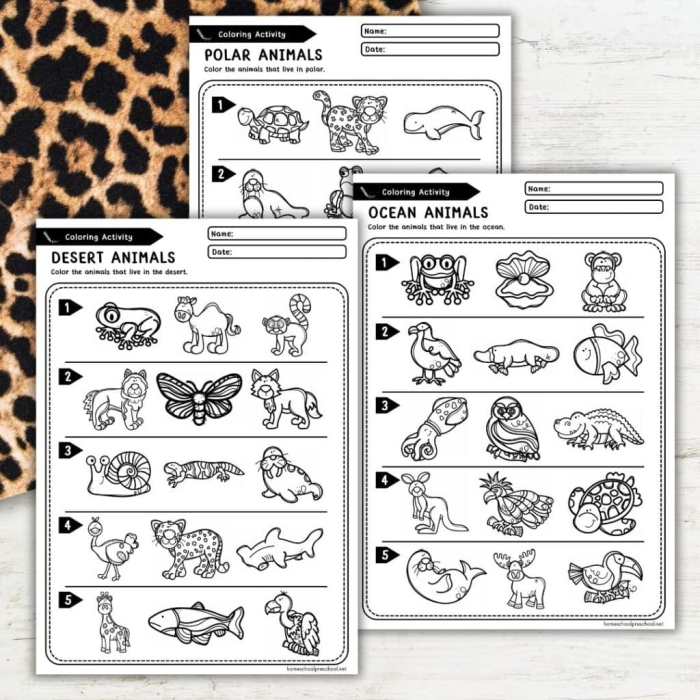 Animal Habitat Drawing Page worksheet for kindergarten students to learn about habitats and animals