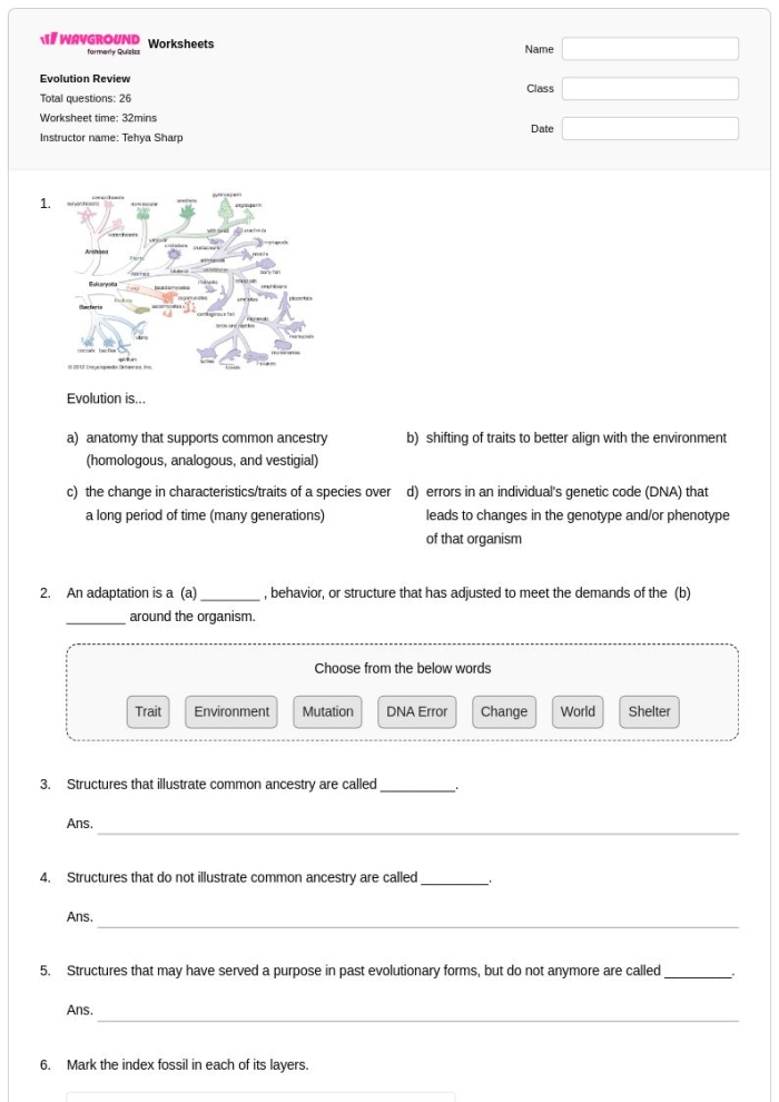 Butterfly Anatomy worksheet with clear labels for young learners in grade K Kindergarten butterfly diagram showing labeled parts for learning anatomy