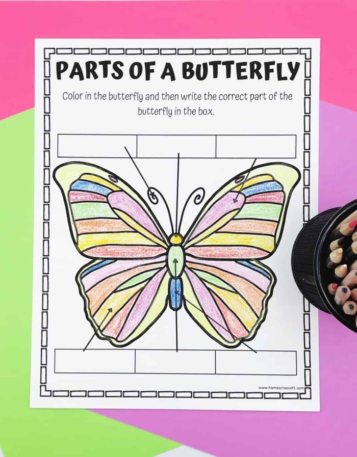 Butterfly Anatomy diagram for young learners to identify and label parts on worksheet 19 Kindergarten worksheet showing a butterfly diagram to label its parts focusing on fractions