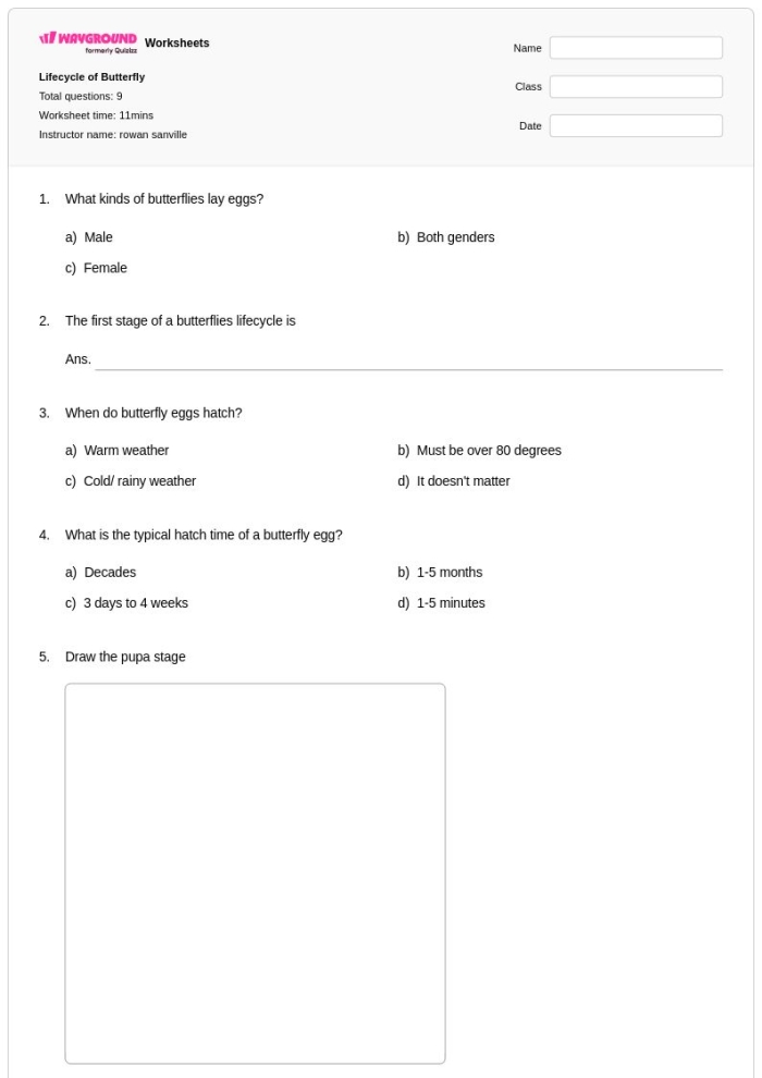 Butterfly anatomy labeling activity for young learners in math category Kindergarten butterfly diagram for labeling body parts in a fractions worksheet