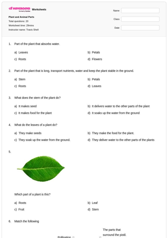 Kindergarten butterfly anatomy labeling worksheet image 3 Butterfly diagram for labeling body parts in a kindergarten worksheet on fractions