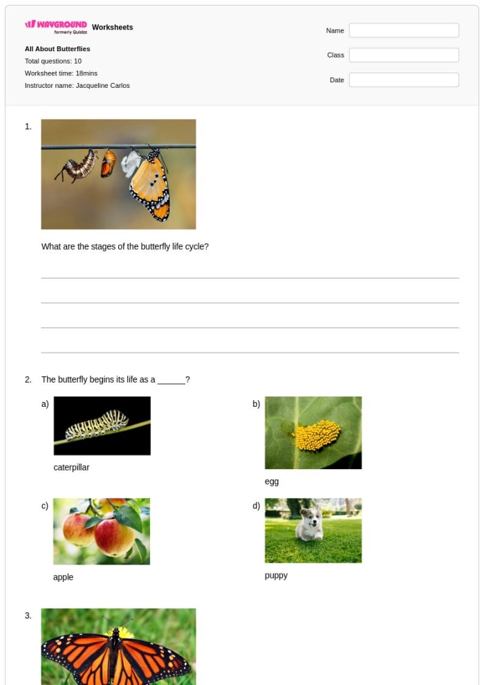 Kindergarten butterfly diagram worksheet focusing on anatomy and fractions, image 4 Butterfly Anatomy worksheet for kindergarten with labeled butterfly parts and fraction activities