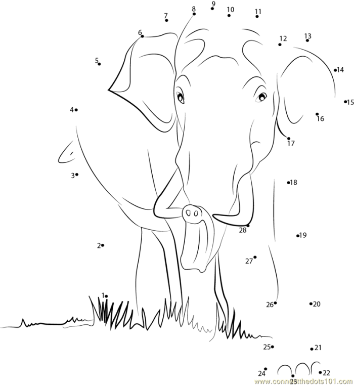 Elephant Connect the Dots Worksheet for Young Learners A kindergarten connect the dots activity showing an elephant outline numbered 1 to 50 for tracing practice