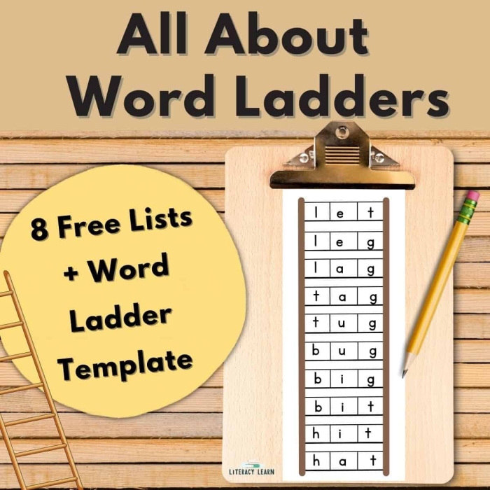 Engaging Word Ladder Challenge worksheet for young learners focusing on word families and letter changes Kindergarten geography word ladder worksheet transforming CAT to DOG with phonics clues