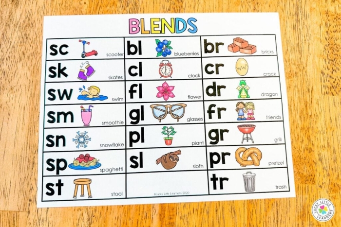 Blends and digraphs reading skills check worksheet number 24 Kindergarten blends and digraphs worksheet for reading assessment