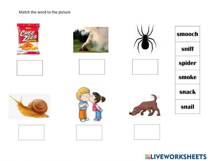 Place Value worksheet for Kindergarten Worksheet featuring S blends for kindergarten learners, including words like scrub, sprint, and strong. Educational resource designed to enhance reading and writing skills with three-letter S blends.
