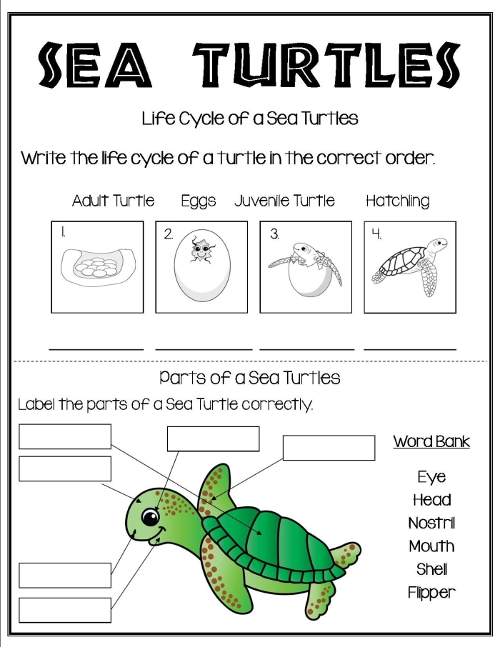 Kindergarten worksheet featuring sea turtles to teach identifying main topics in nonfiction texts