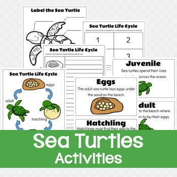 Kindergarten worksheet featuring sea turtles to practice finding the main topic in nonfiction texts