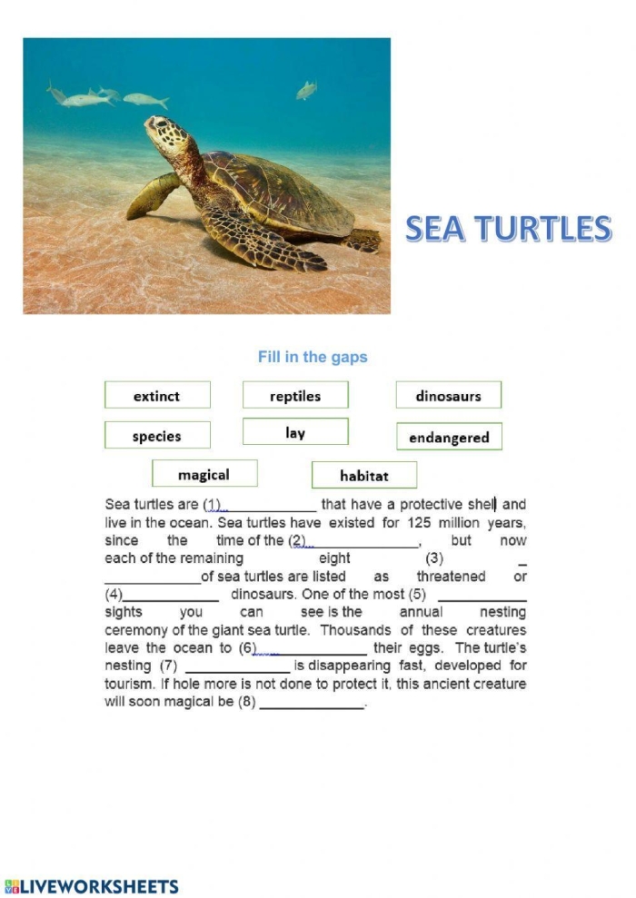 Kindergarten worksheet featuring sea turtles to practice finding the main idea in nonfiction passages