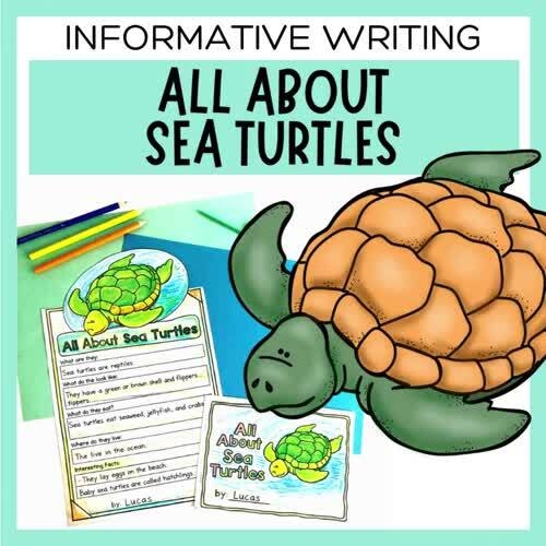 Kindergarten sea turtles worksheet for identifying main topics in nonfiction reading