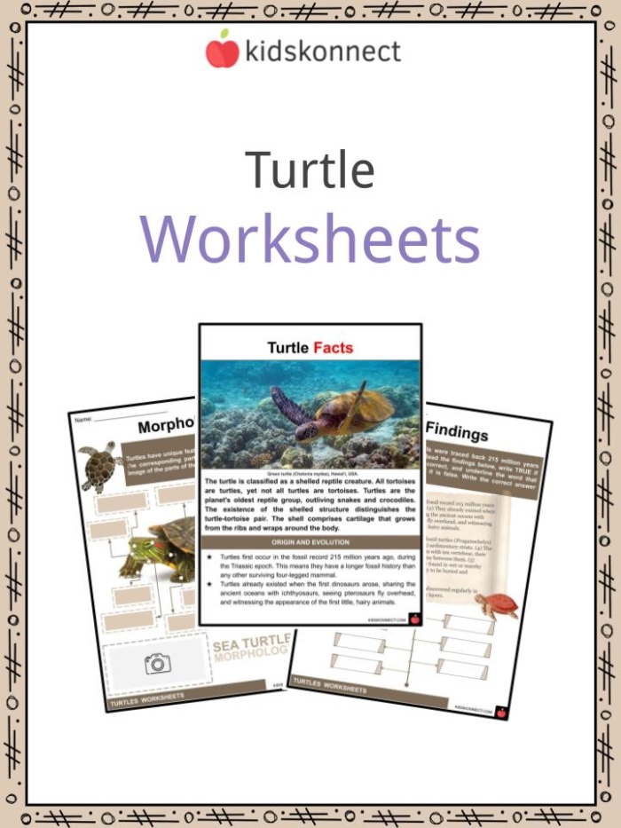 Kindergarten worksheet featuring sea turtles to practice finding the main topic in nonfiction texts