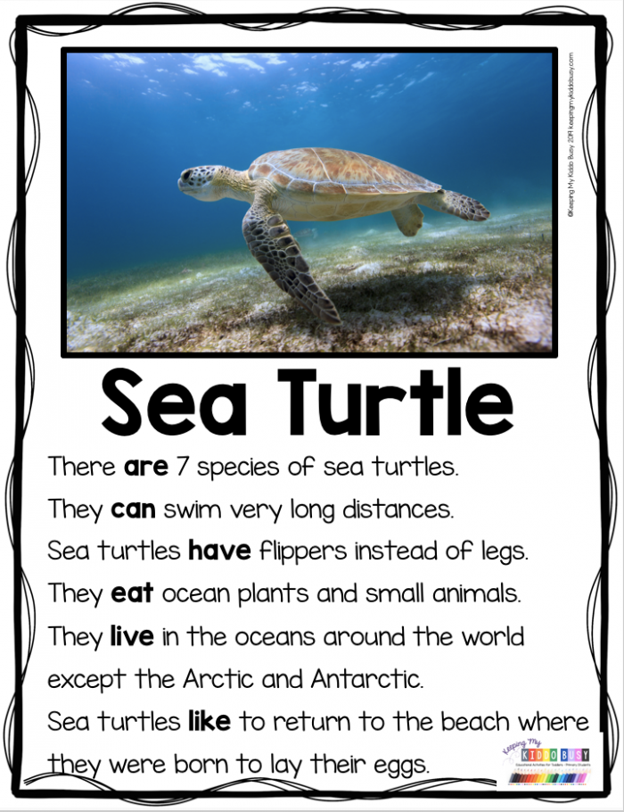 Kindergarten worksheet featuring sea turtles to practice finding the main topic in nonfiction texts
