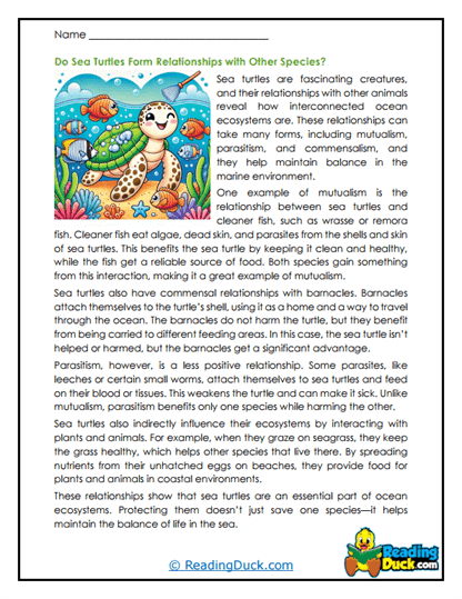 Kindergarten worksheet featuring sea turtles to practice identifying the main topic in nonfiction texts
