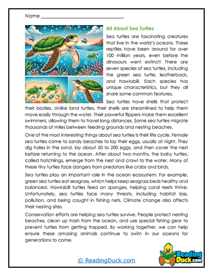 Kindergarten worksheet featuring sea turtles to practice finding the main topic in nonfiction texts