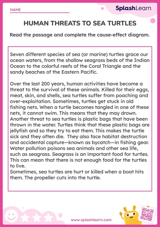 Kindergarten sea turtle worksheet focused on finding the main topic and key details in nonfiction texts