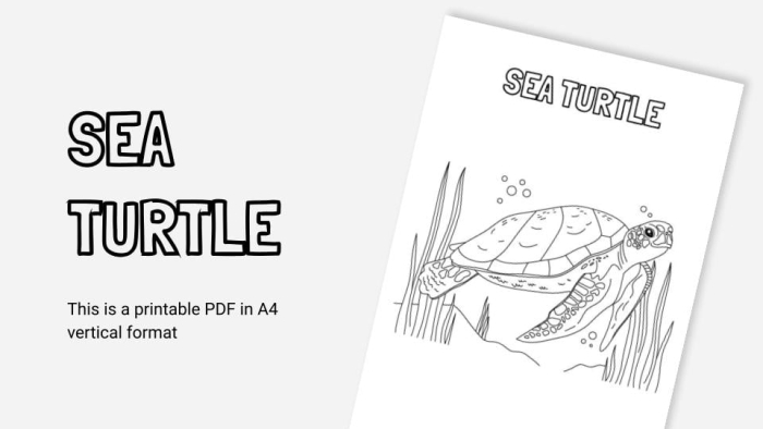 Kindergarten worksheet featuring sea turtles to practice finding the main topic in nonfiction texts