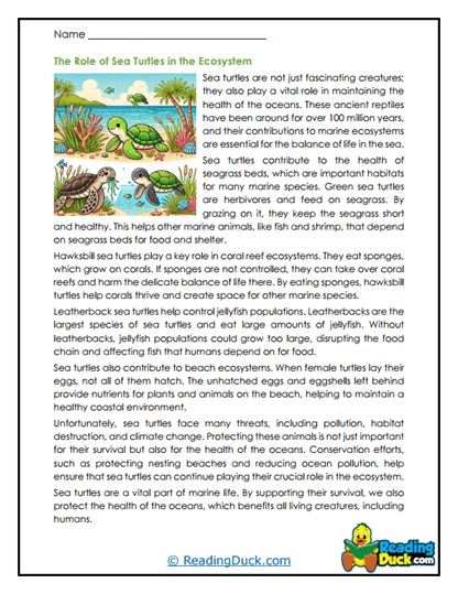 Kindergarten worksheet featuring sea turtles to practice finding the main topic in nonfiction texts