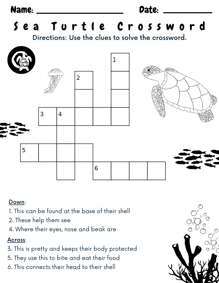 Kindergarten worksheet featuring sea turtles to practice identifying main topics in nonfiction texts
