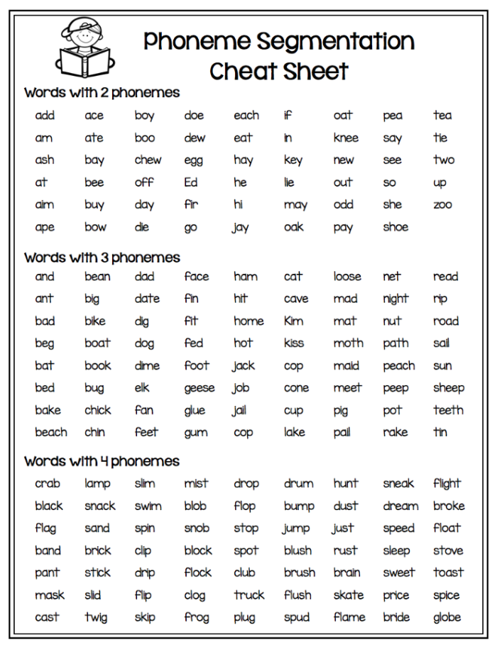End of Year Segmenting Assessment for Kindergarten Students Worksheet 11 Kindergarten word study worksheet for segmenting sounds at year-end
