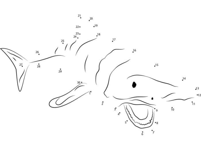 Shark-themed dot-to-dot activity page for young learners number sixteen Kindergarten shark connect-the-dots worksheet for counting and writing practice