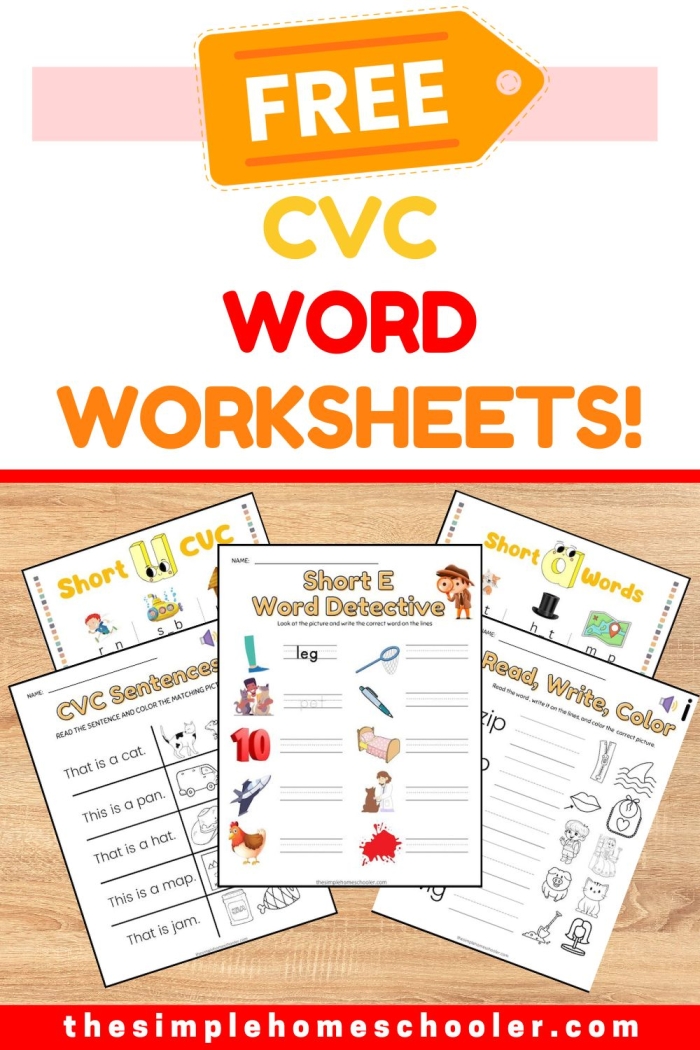 Interactive worksheet for short I CVC word sort featuring -ig and -in words for kindergarten. Essential word study practice for young learners to enhance their literacy skills.