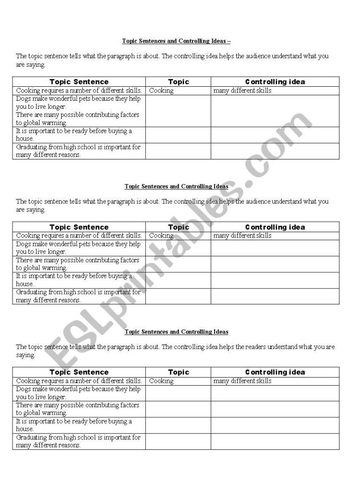 Worksheet for organizing sentences into paragraphs focused on topic sentences for kindergarten. Topic Sentences Worksheet for Young Writers: Image 19