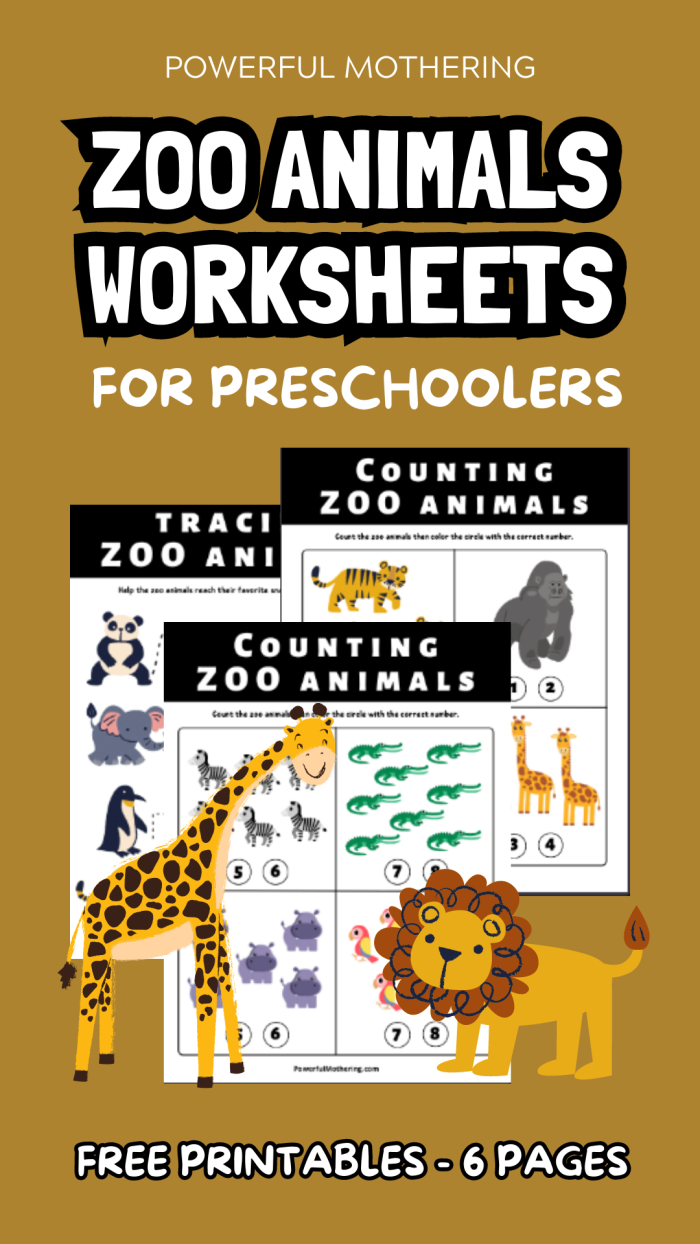 Kindergarten student drawing their favorite zoo animal from the poem including bears camels and wombats
