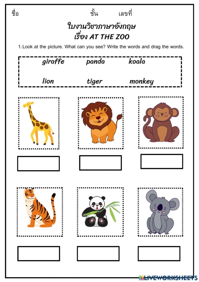 Kindergarten student drawing their favorite zoo animal from a poem about bears camels and wombats